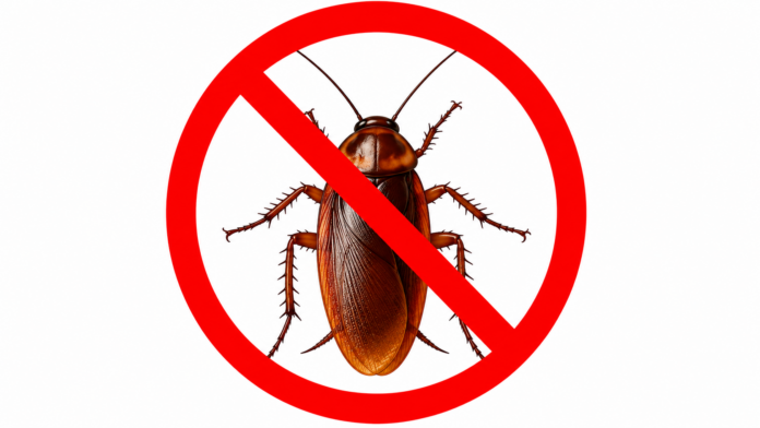 cockroach party cjp